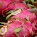 Dragon Fruit Cost How Much Single