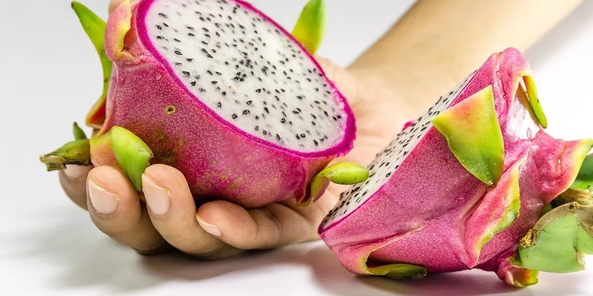 Dragon Fruit Safe For Babies