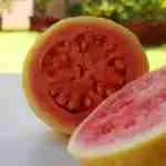Green And Pink Fruit Guava Red