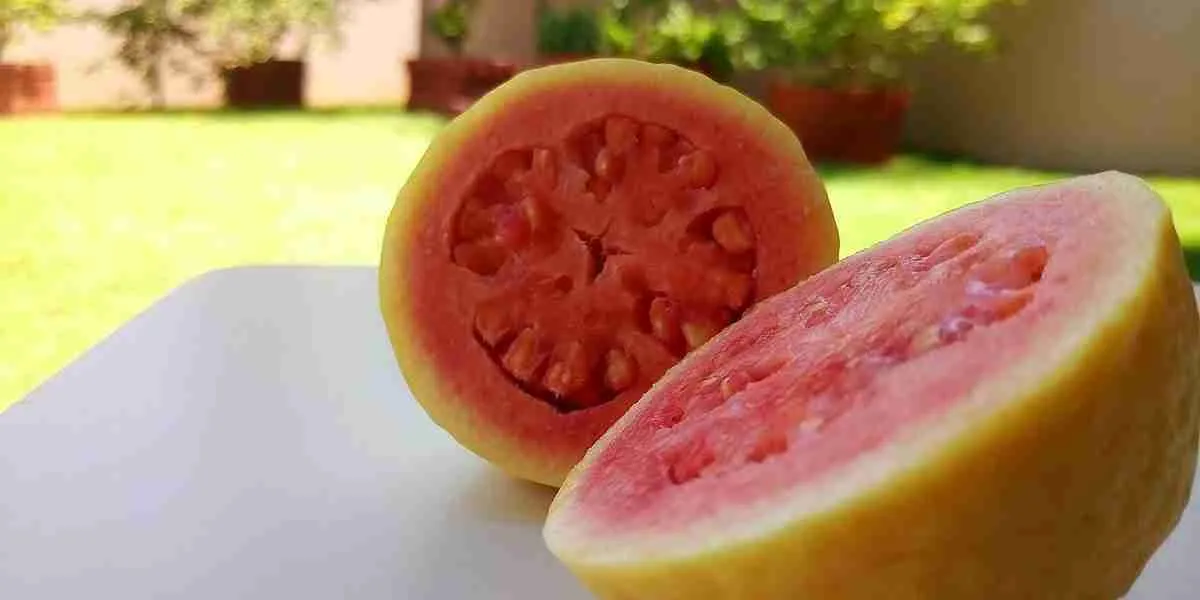 Green And Pink Fruit Guava Red