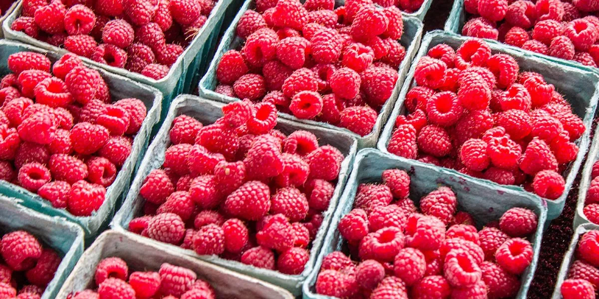 How Much Raspberries Cost