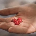 Seedless Raspberries