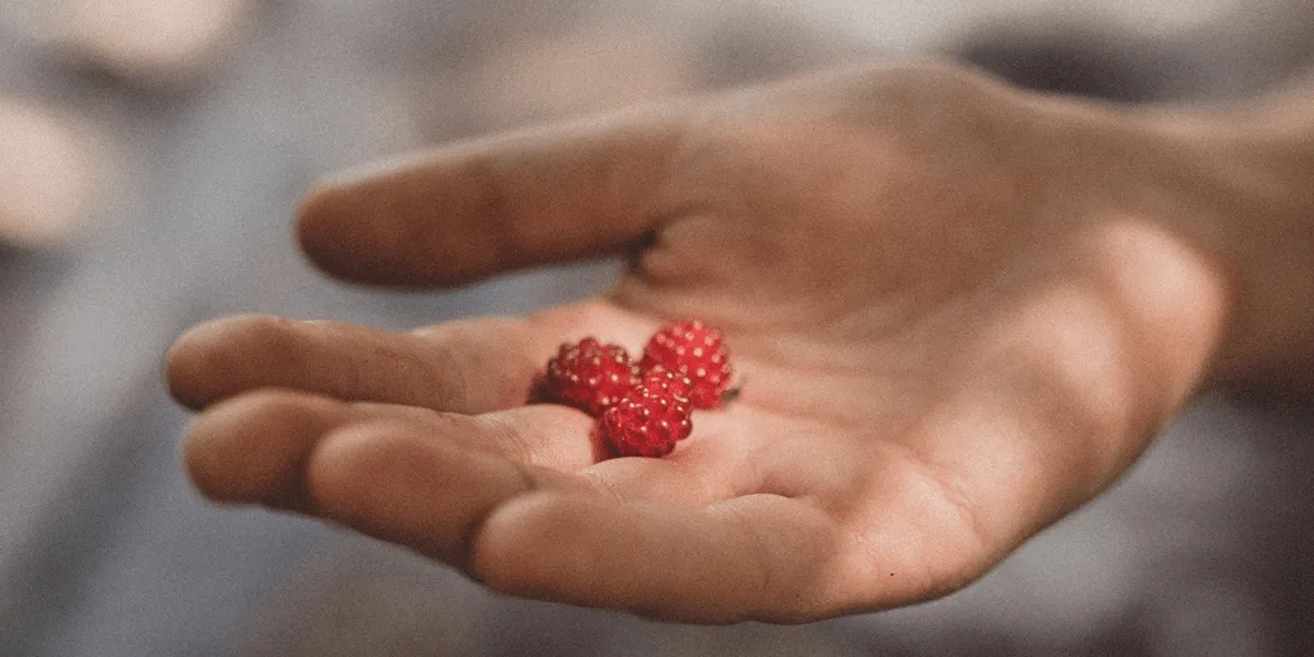Seedless Raspberries