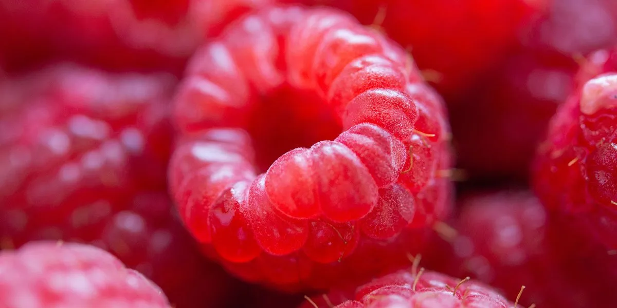 Pink Raspberry