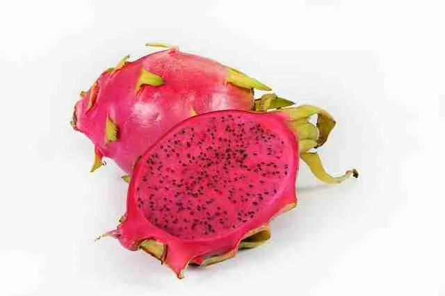 Pitaya Roja Dragon Fruit Red