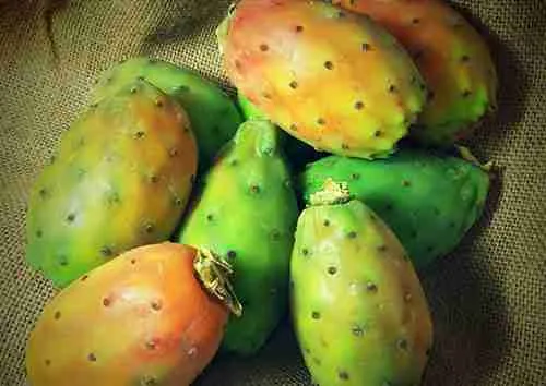 Prickly Pear Color