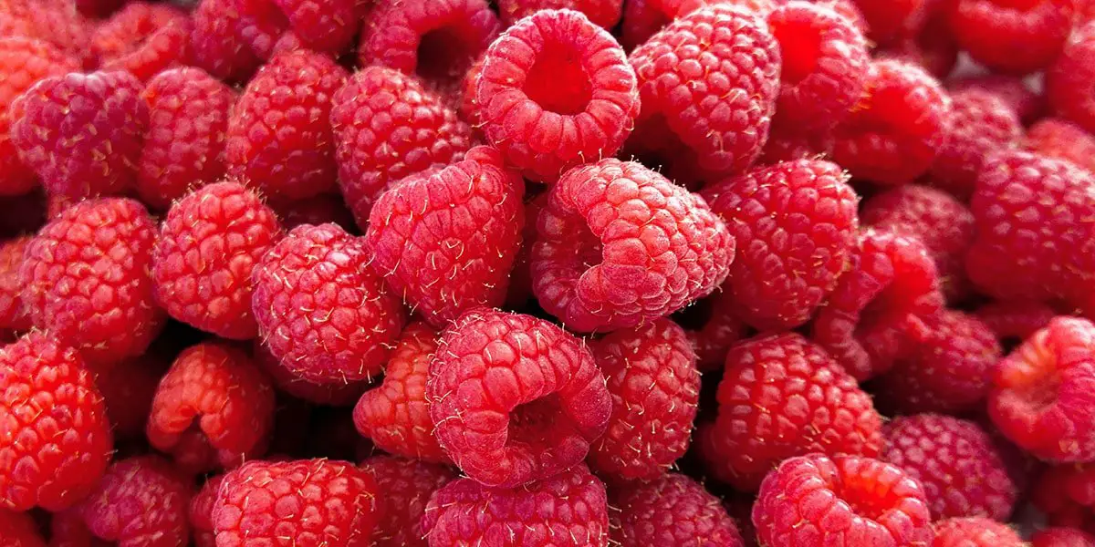 Here's Why Your Raspberries Will Sometimes Taste Sour
