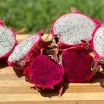 Red vs White Dragon Fruit Differences