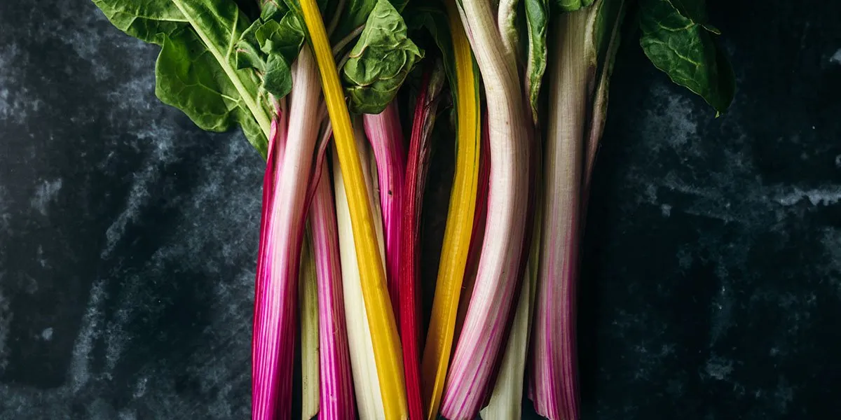 Rhubarb Pink Fruit Vegetable